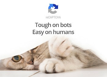 reCAPTCHA